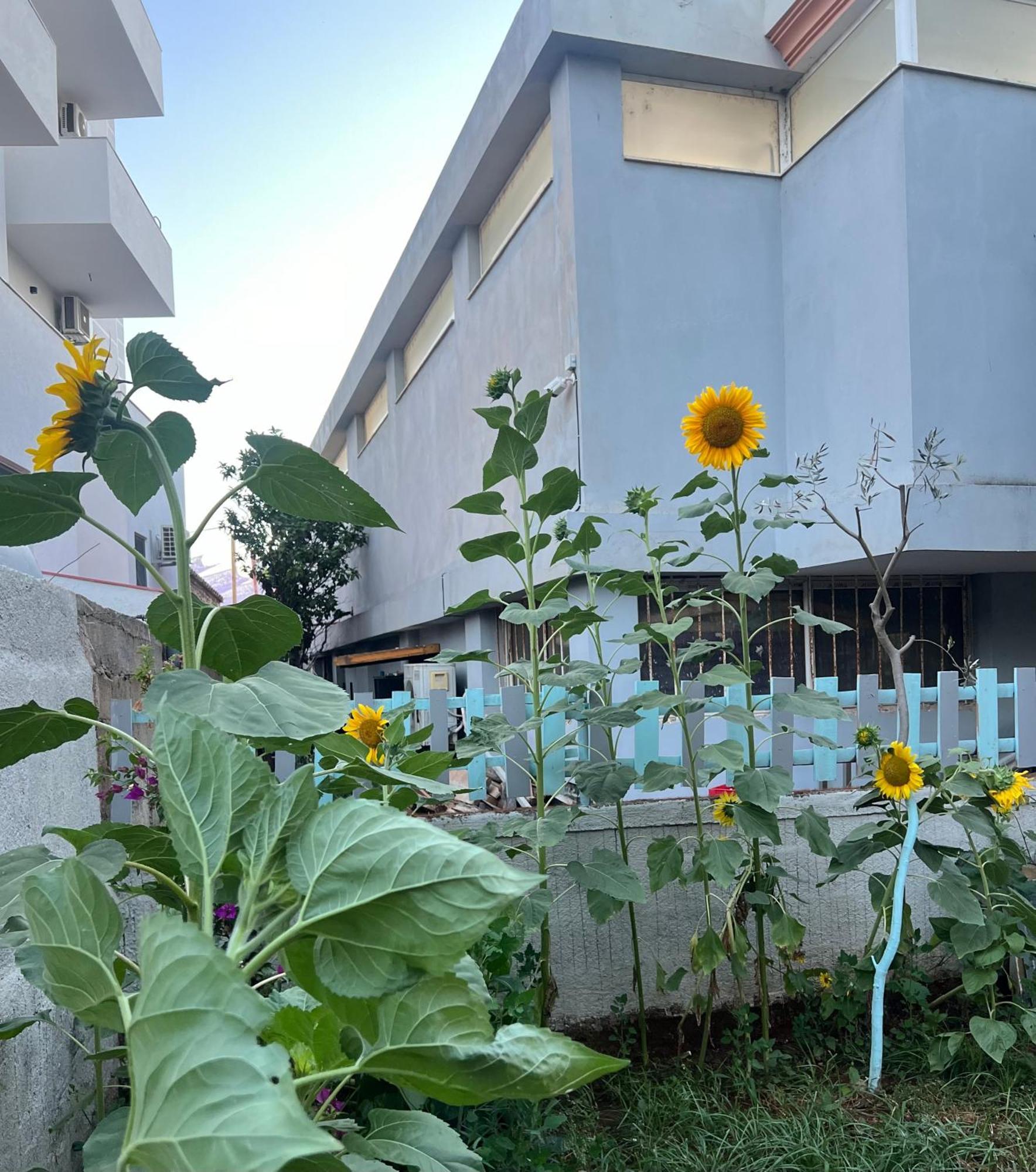 Sunflower Hotel Ksamil Exteriör bild